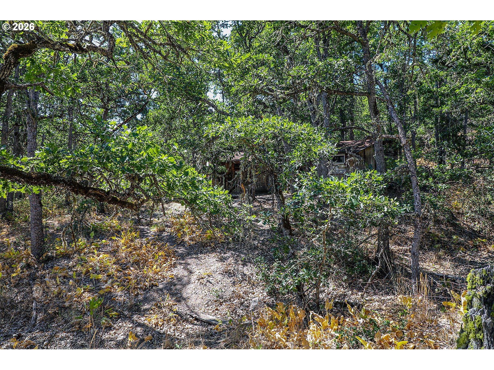 2300 Dry Creek Road Mosier, OR 97040 - Photo 17 of 34