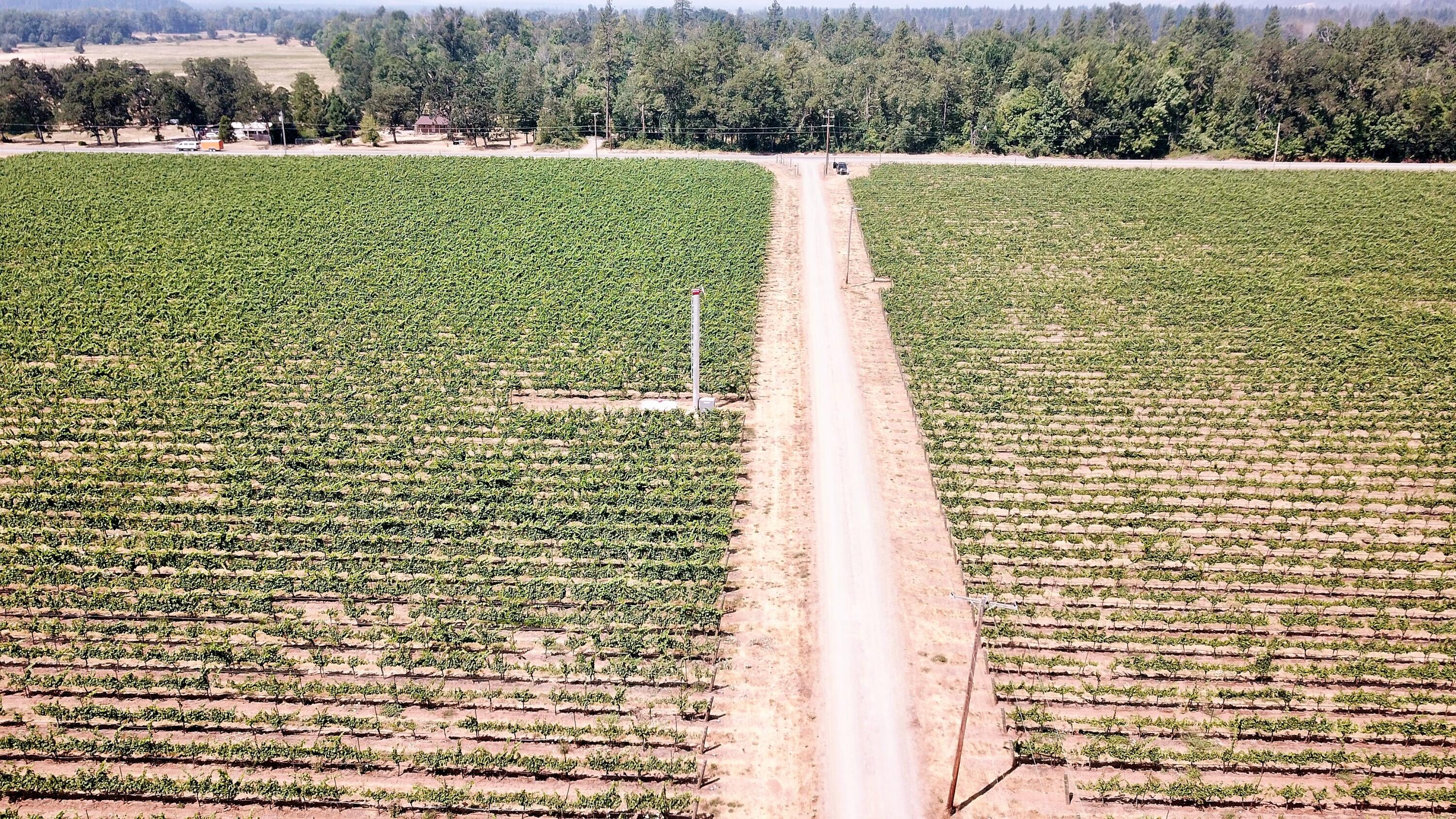 7821 Holland Loop Road Cave Junction, OR 97523 - Photo 21 of 41 Gallery Image 21