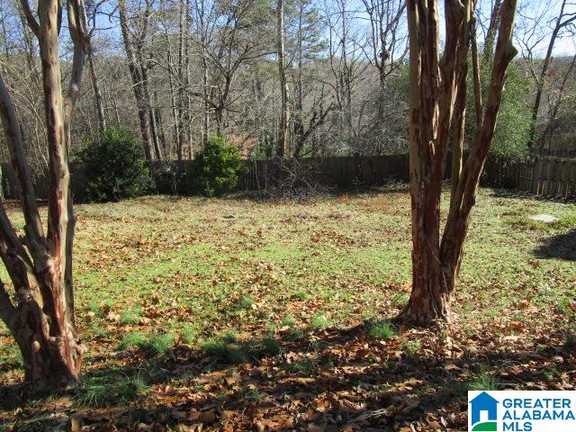 399 Red Stick Road Pelham, AL 35124 - Photo 20 of 20 Gallery Image 20