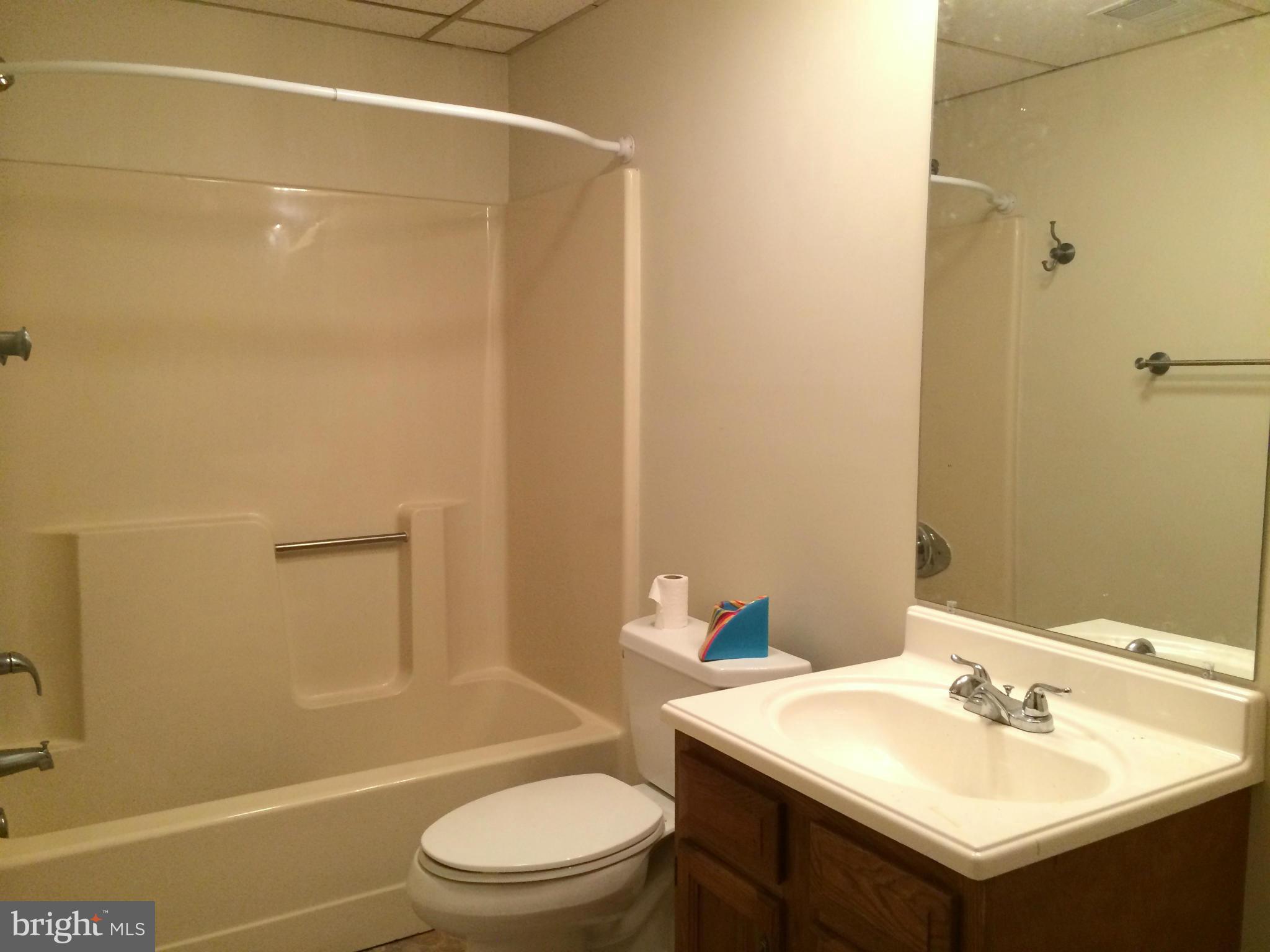 3599 Guard Hill Road Front Royal, VA 22630 - Photo 25 of 30 Full Bathroom in Basement Hallway