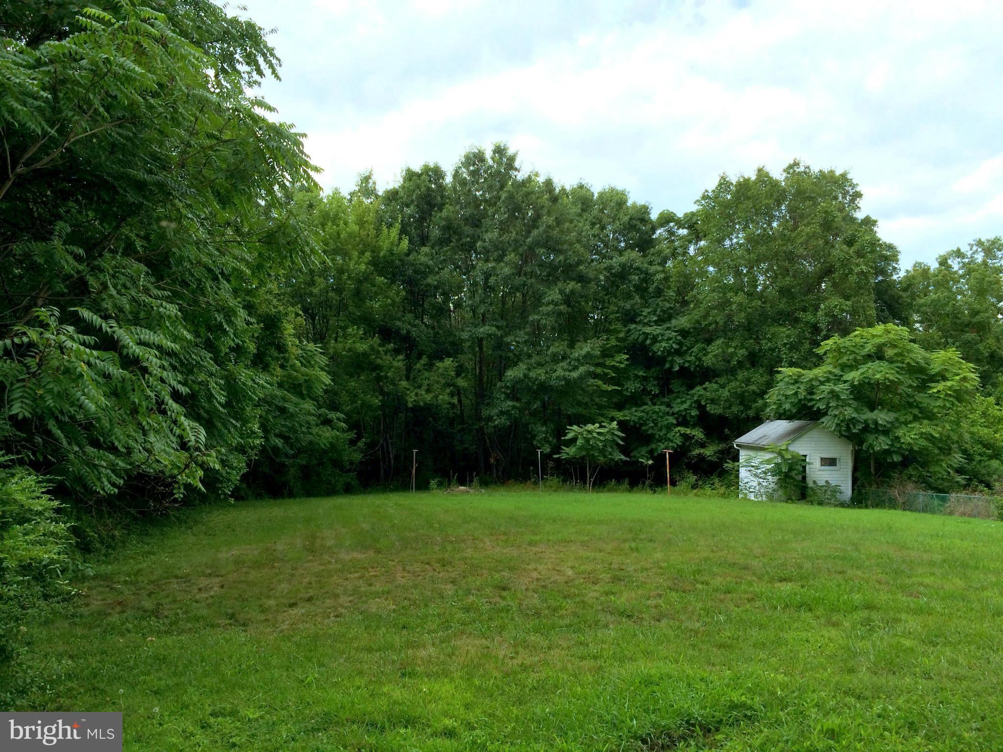 3599 Guard Hill Road Front Royal, VA 22630 - Photo 29 of 30 Backyard w/ Storage Shed, backing to Trees