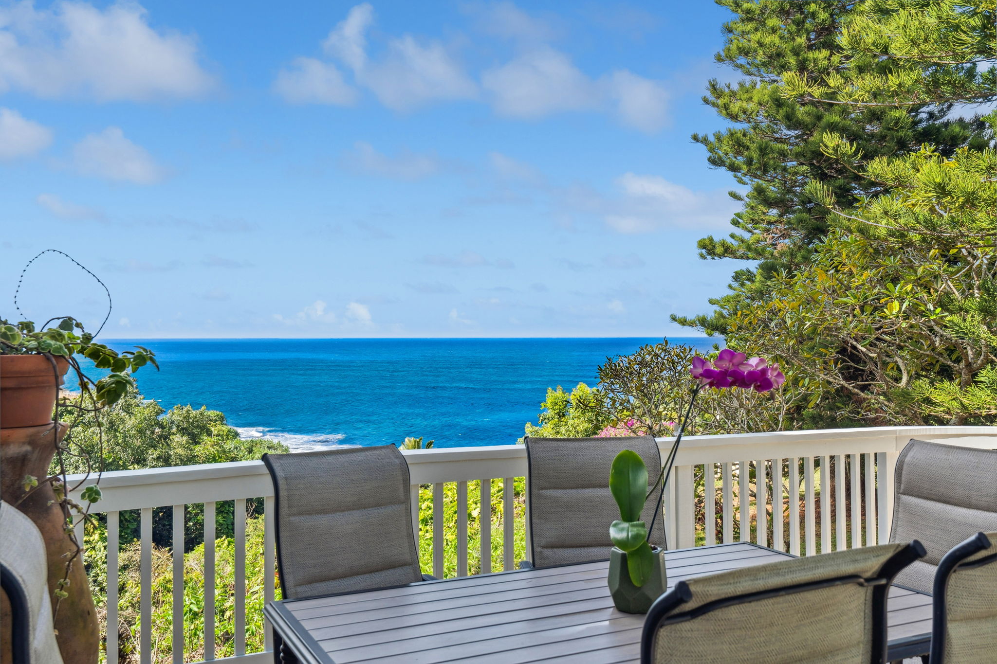 3560 Kaweonui Road Princeville, HI 96722 - Photo 10 of 10 Gallery Image 10