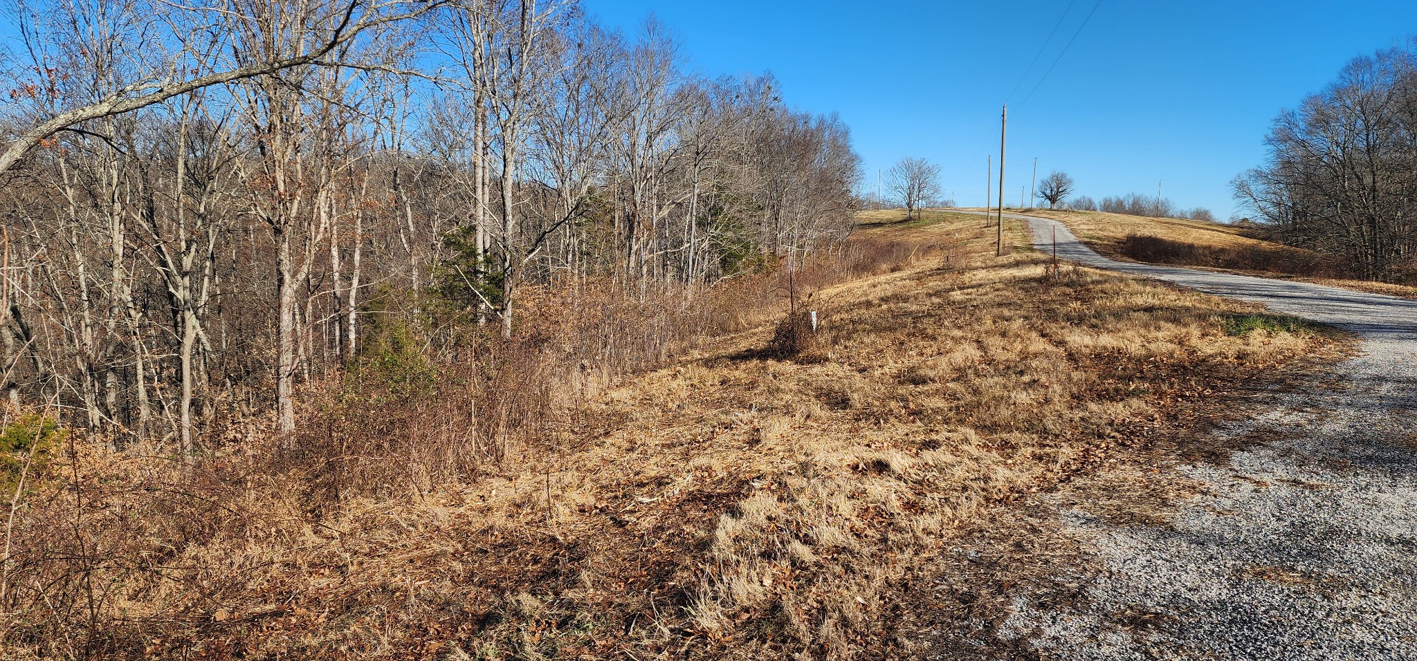 0 H O H O Allison Road Baxter, TN 38544 - Photo 3 of 12 a view of a backyard of the house