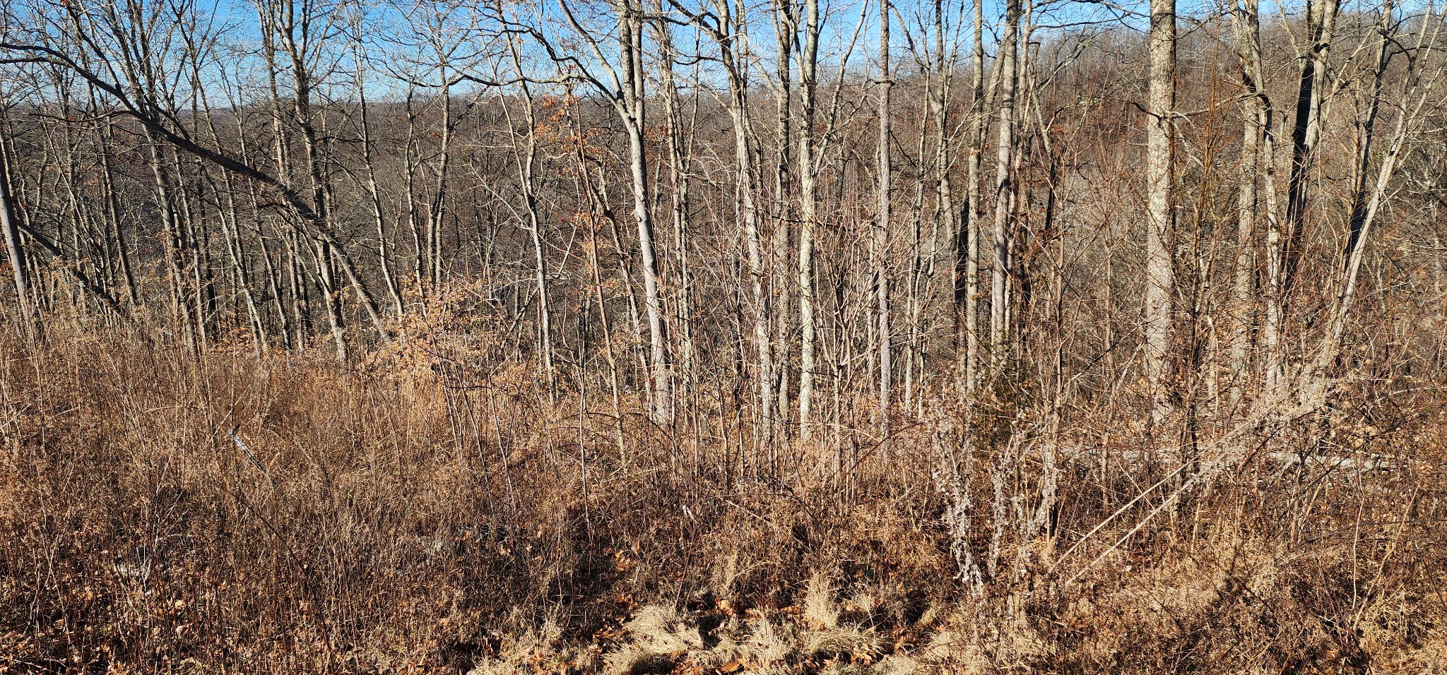 0 H O H O Allison Road Baxter, TN 38544 - Photo 4 of 12