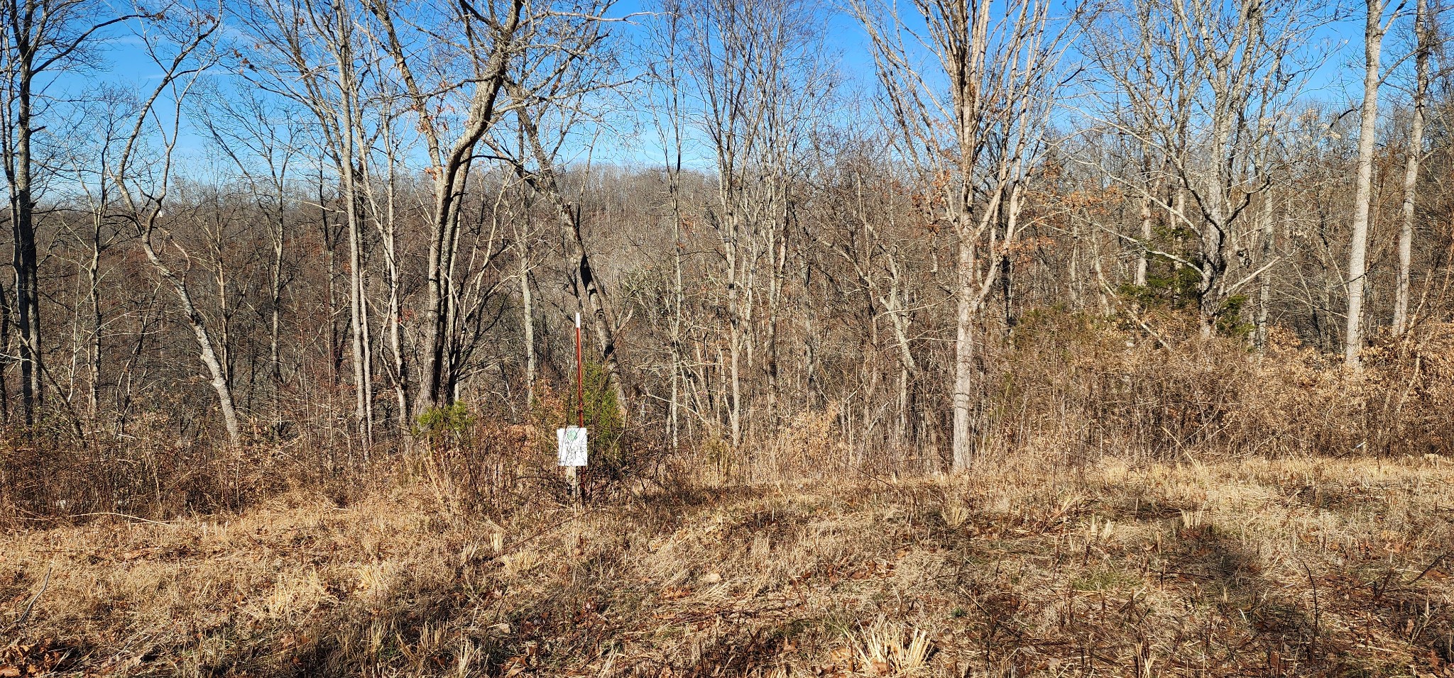 0 H O H O Allison Road Baxter, TN 38544 - Photo 5 of 12 a view of small yard