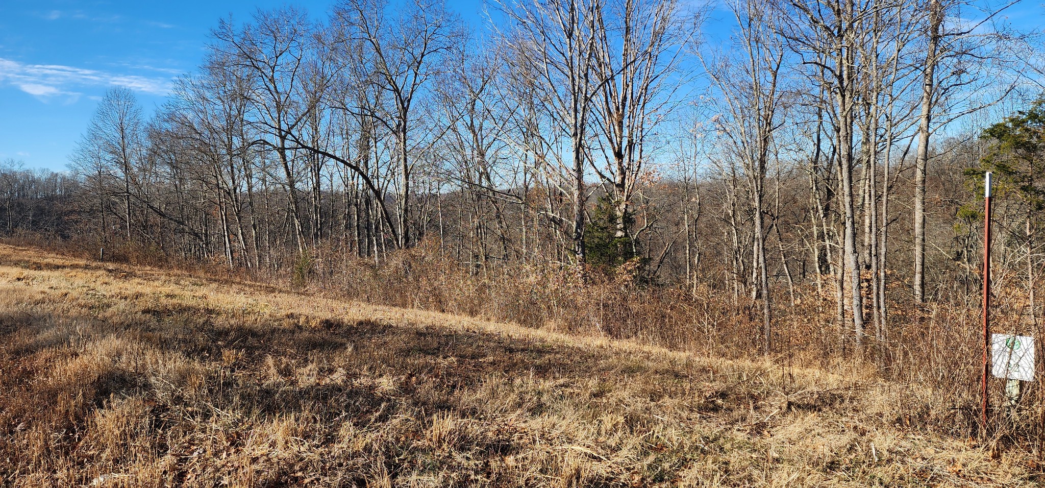 0 H O H O Allison Road Baxter, TN 38544 - Photo 6 of 12 a view of a yard with trees