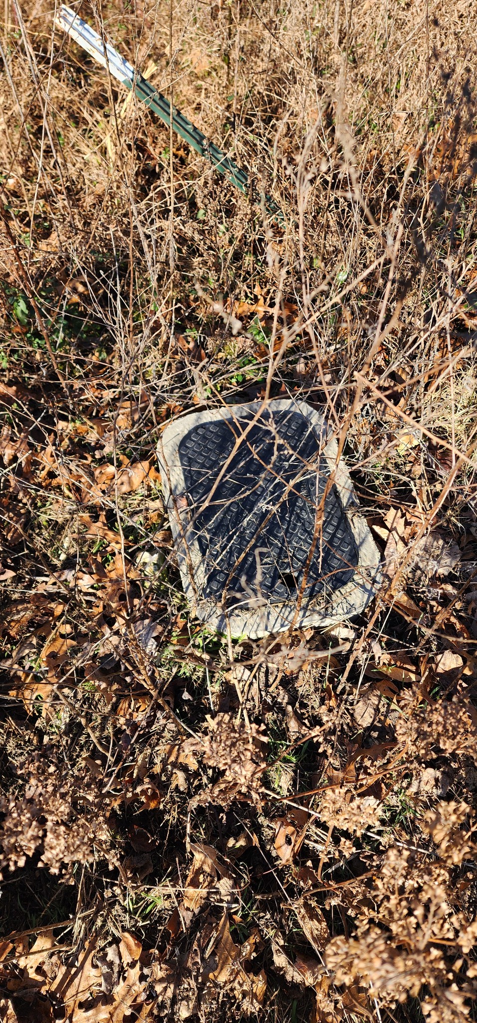 0 H O H O Allison Road Baxter, TN 38544 - Photo 7 of 12