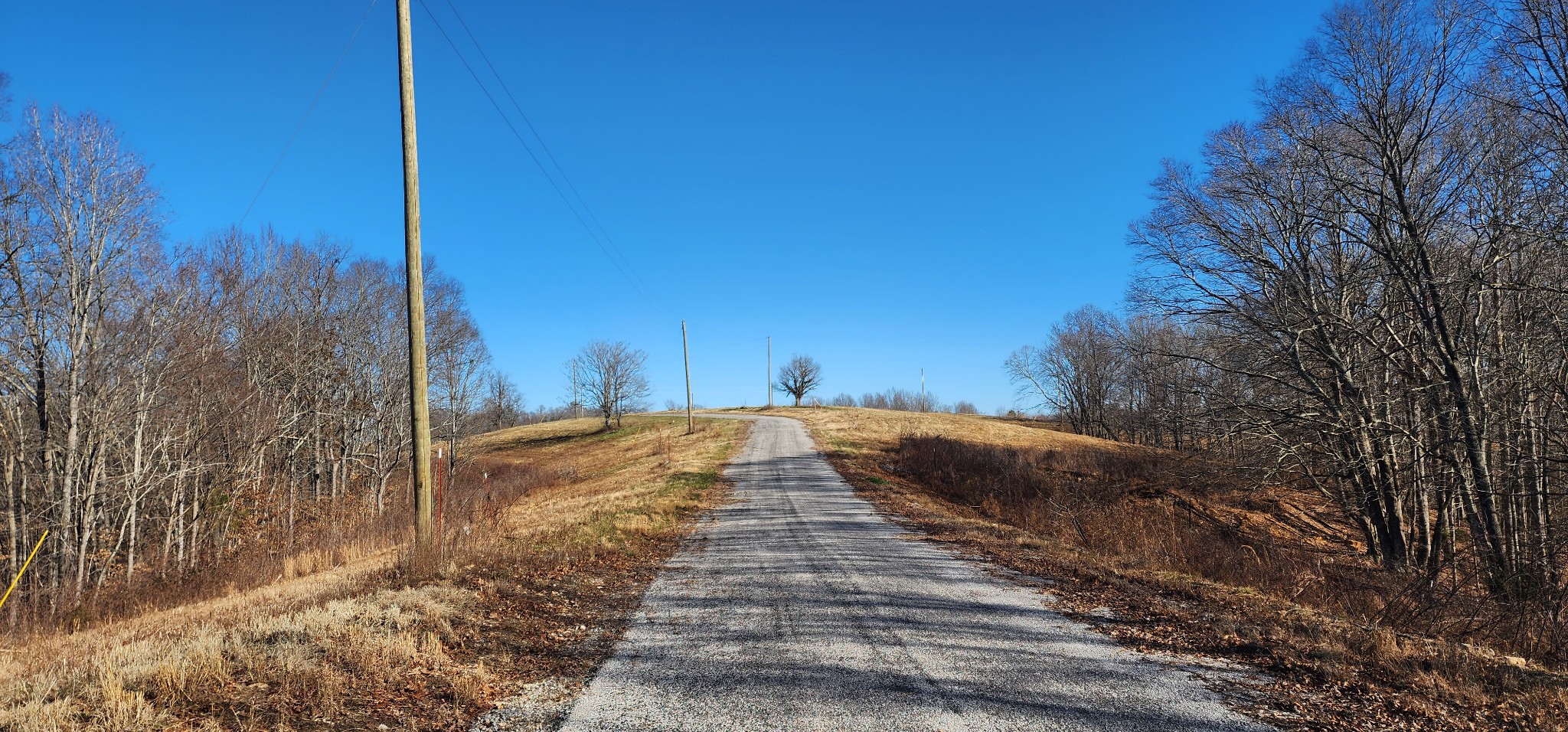 0 H O H O Allison Road Baxter, TN 38544 - Photo 8 of 12 a backyard of a house