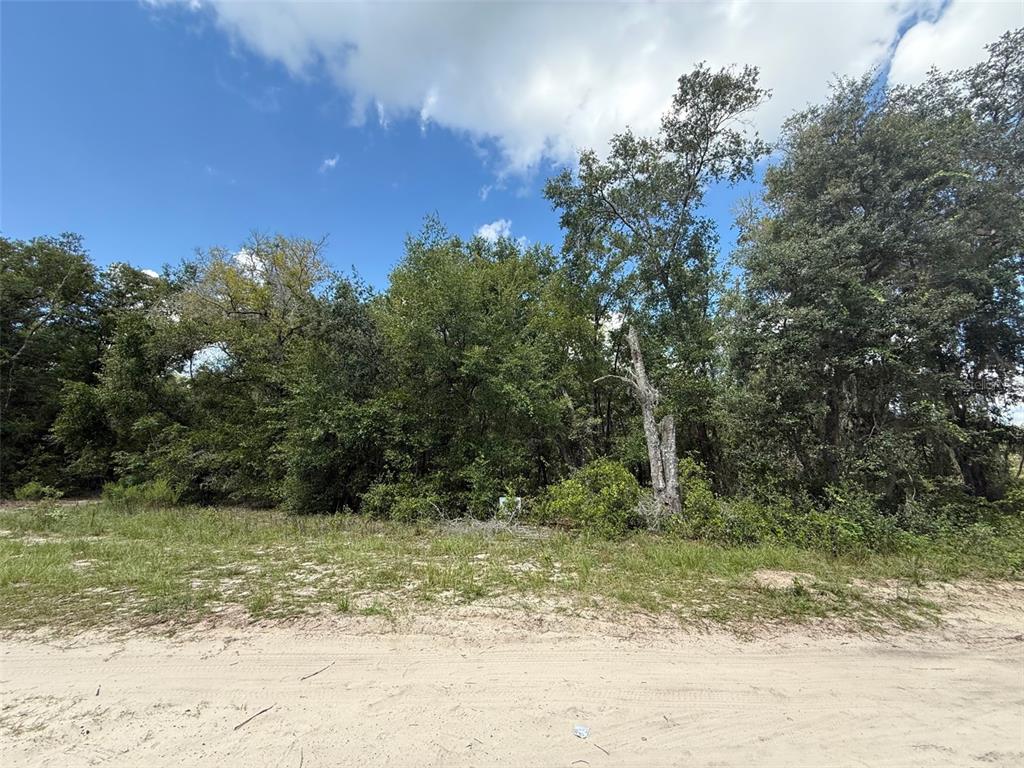 East Cowpen Lake Point Road Hawthorne, FL 32640 - Photo 1 of 2 a view of a yard with a tree