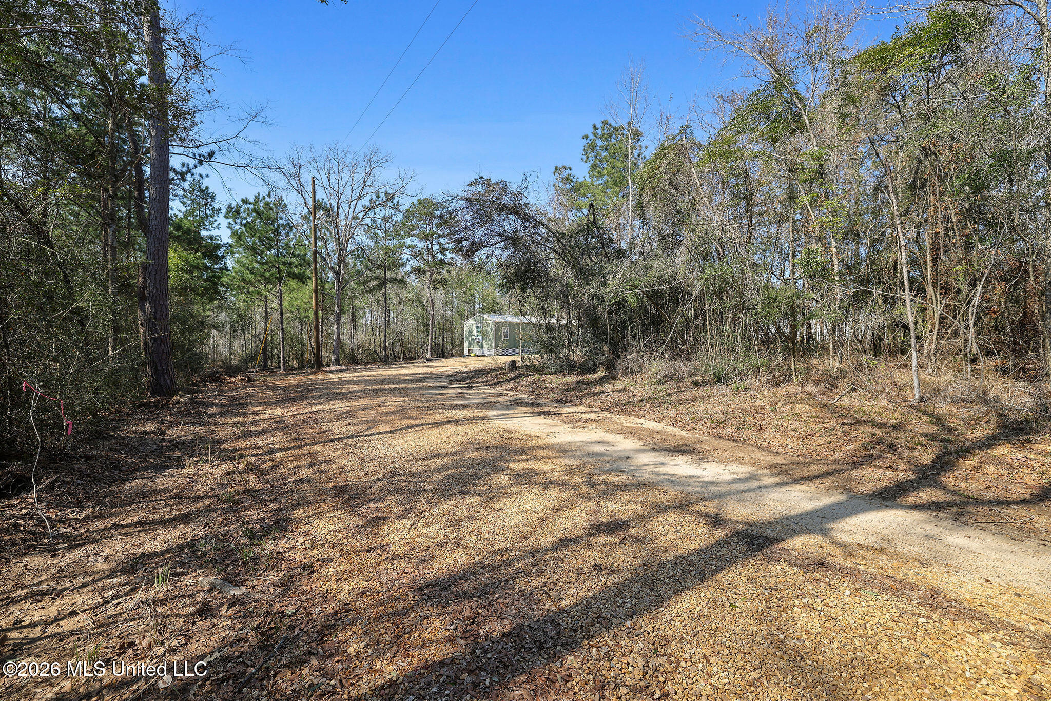 2133 Matthews Road Tylertown, MS 39667 - Photo 14 of 25 CE4A1803