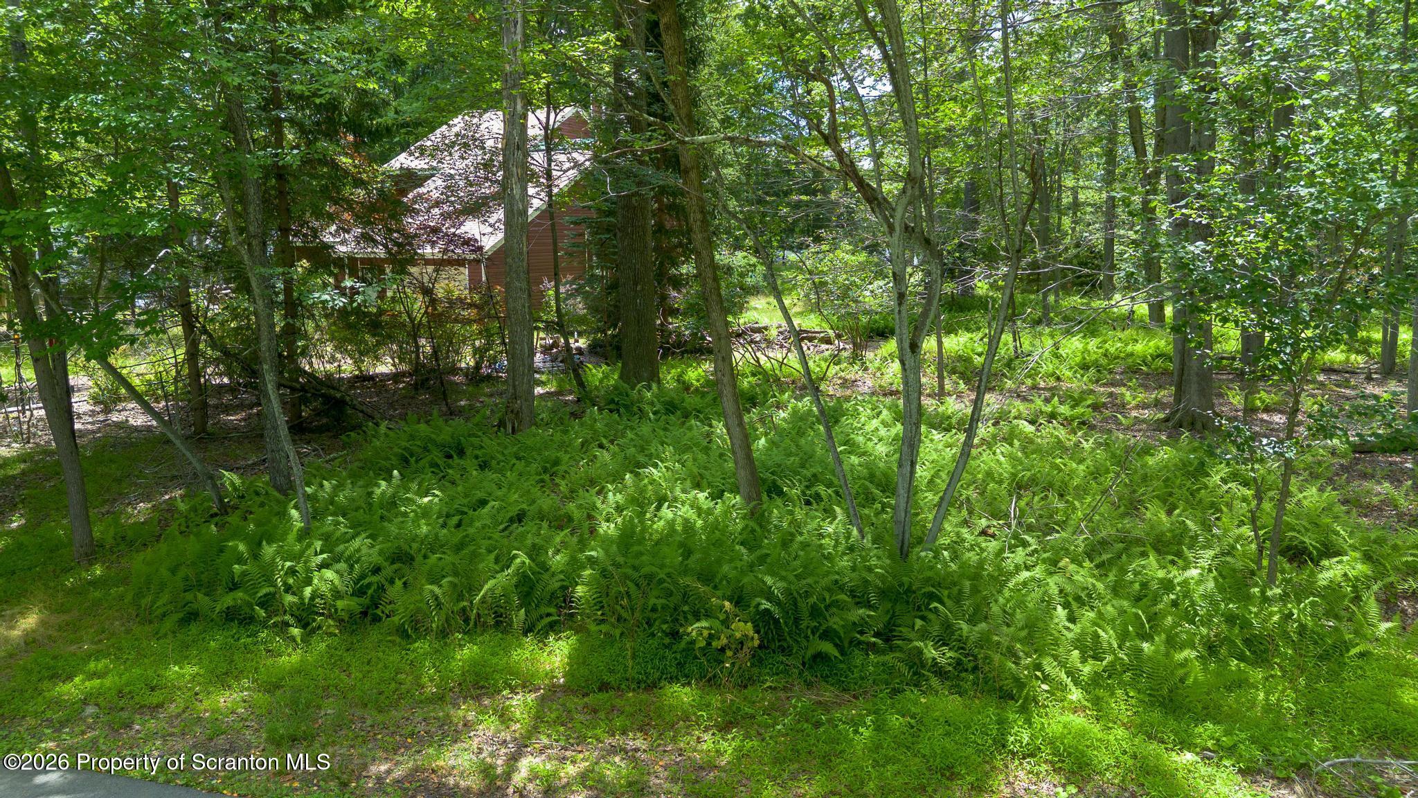 3217 Beech Ridge Drive Pocono Summit, PA 18346 - Photo 4 of 59 DJI_0885-2