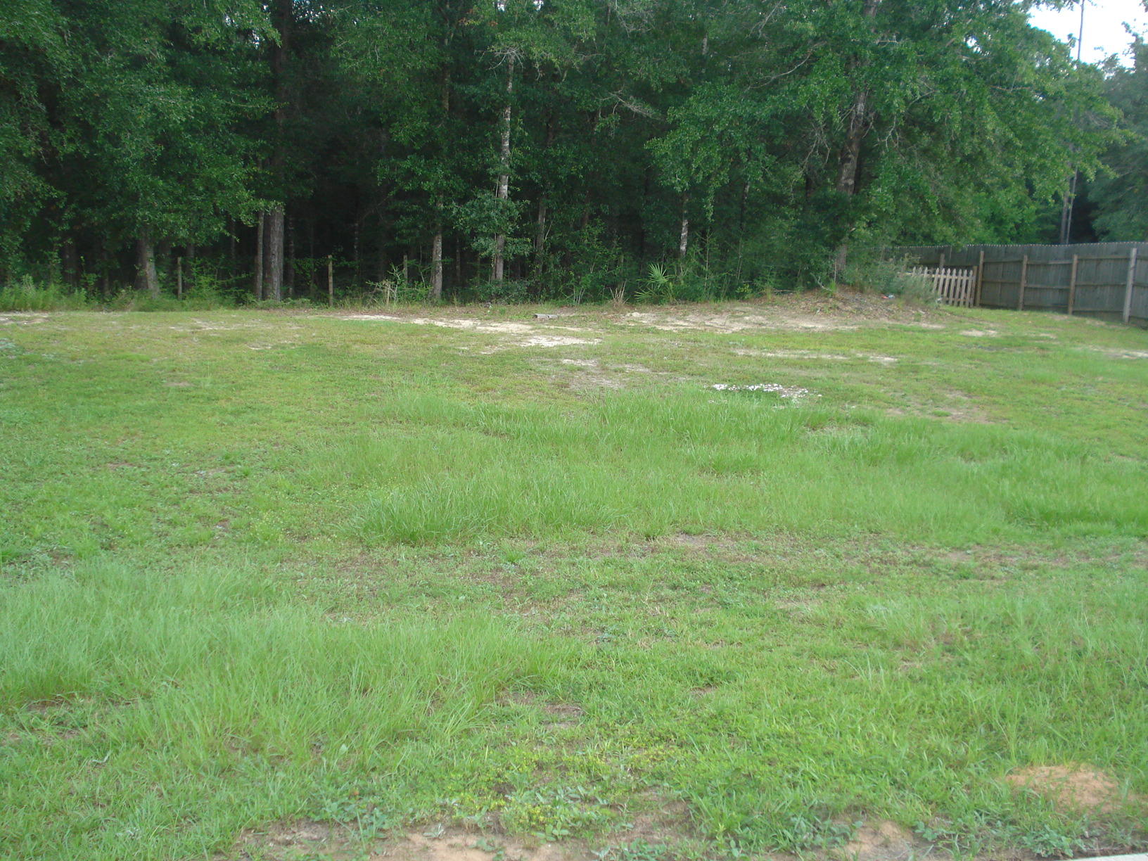 4755 Balboa Road Crestview, FL 32539 - Photo 28 of 30 Backyard