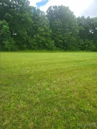 a view of a field with a trees in the background