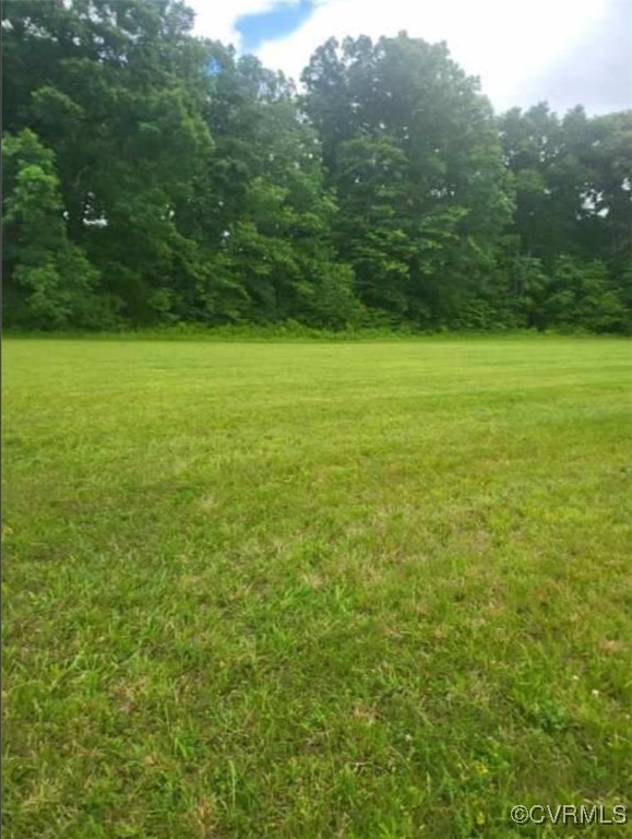 0 Whitmell School Road Dry Fork, VA 24549 - Photo 2 of 8 a view of a field with a trees in the background