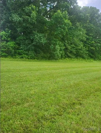 a view of a field with an trees