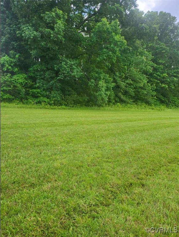 0 Whitmell School Road Dry Fork, VA 24549 - Photo 3 of 8 a view of a field with an trees