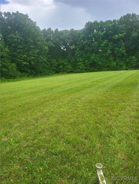 0 Whitmell School Road Dry Fork, VA 24549 - Photo 4 of 8 a view of a garden with a building