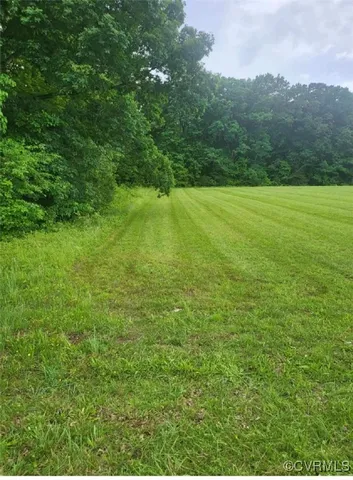 a view of a green field with clear sky