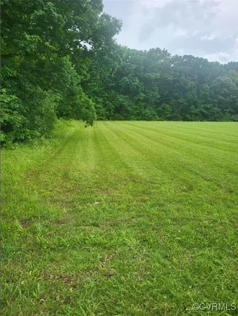 a view of a green field with lots of bushes