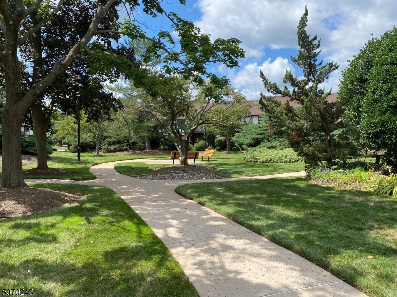 73 Farm Road Hillsborough, NJ 08844 - Photo 21 of 26 a view of a garden with trees