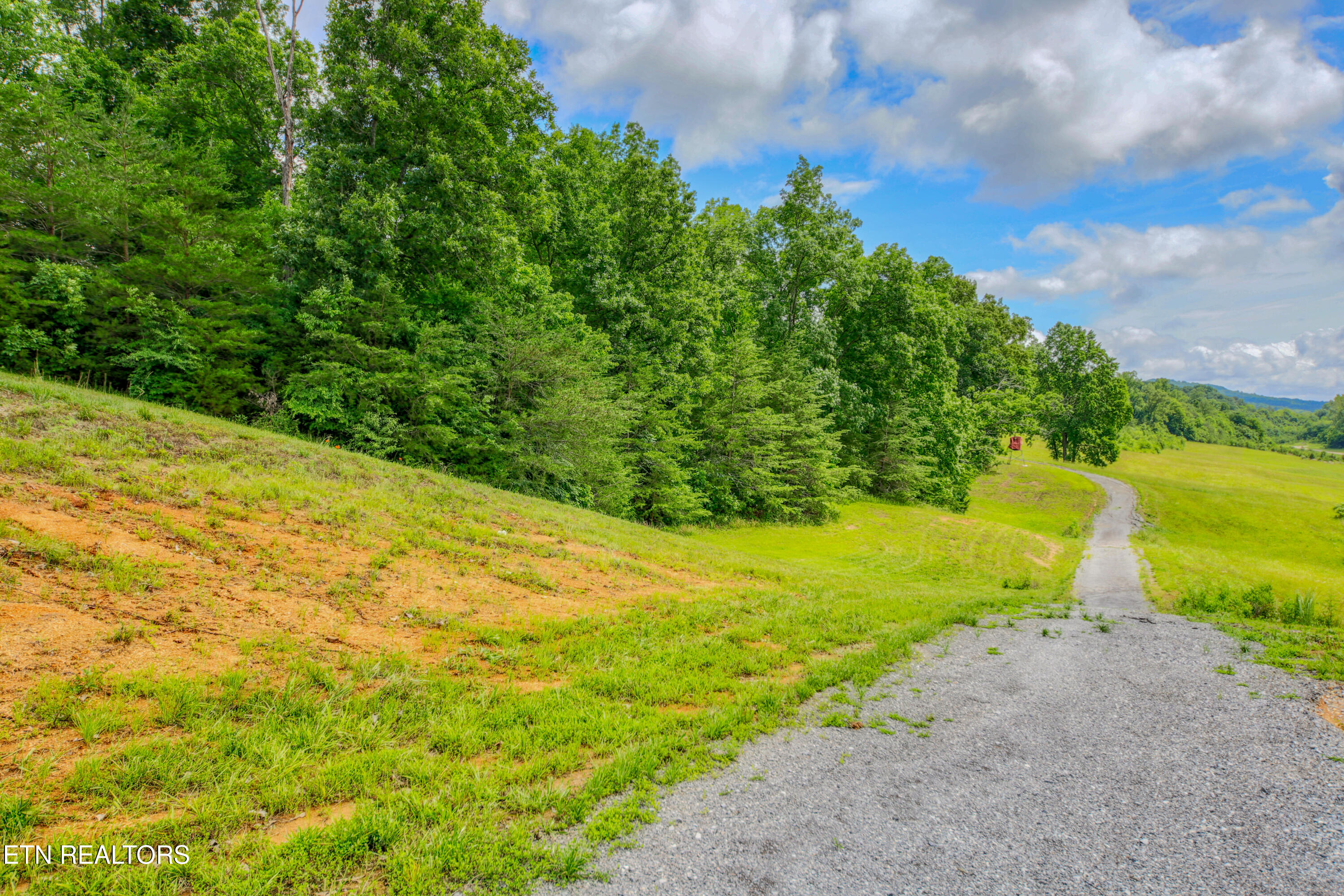 1110 Dalton Road Dandridge, TN 37725 - Photo 56 of 57 0H3A8248_134
