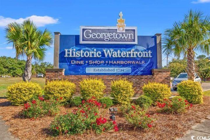 308 Concorde Drive Georgetown, SC 29440 - Photo 37 of 40