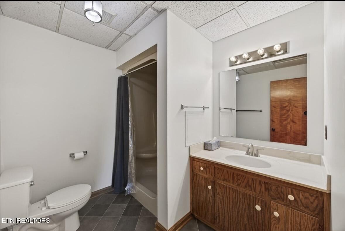 2400 Burgess Falls Road Cookeville, TN 38506 - Photo 40 of 41 a bathroom with a sink a toilet and shower
