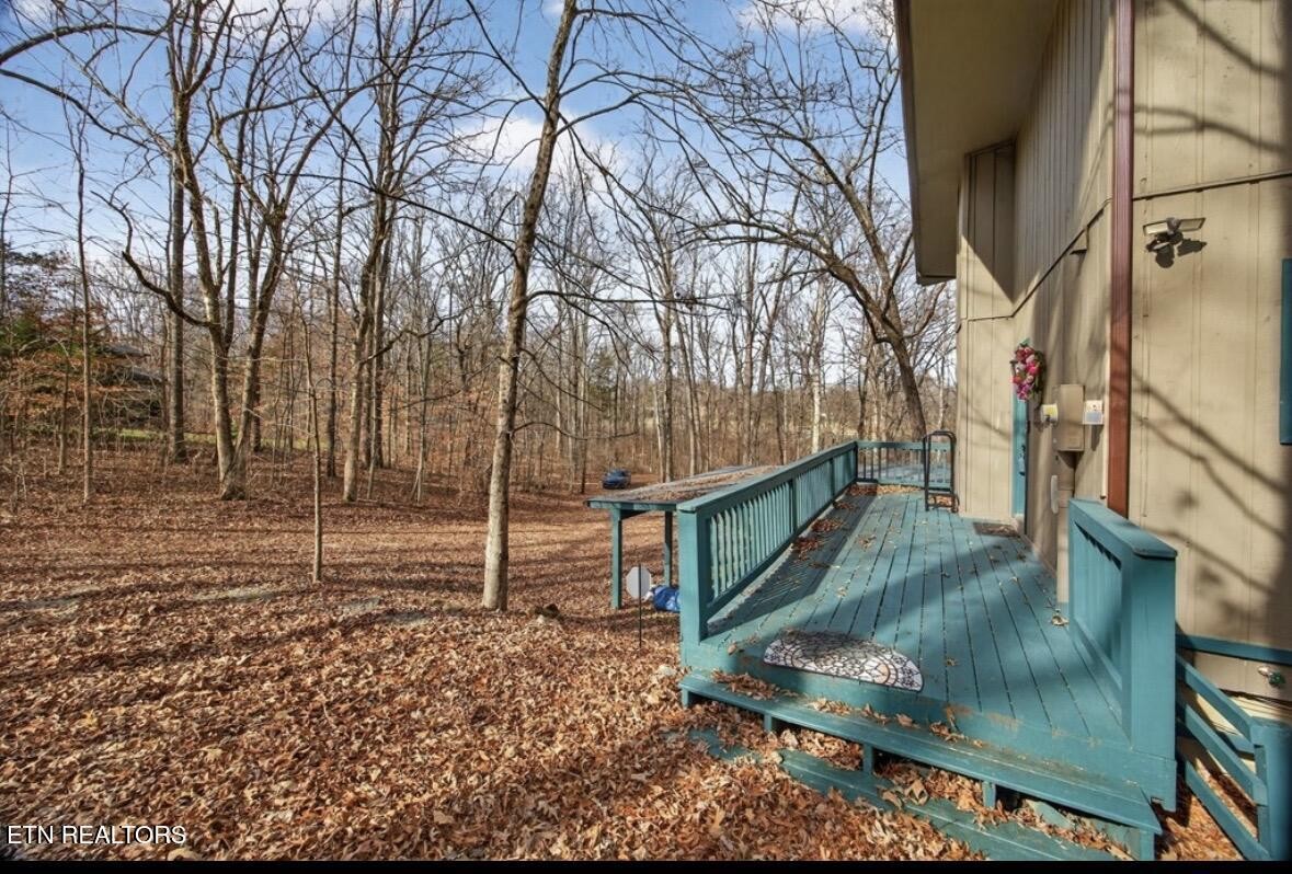 2400 Burgess Falls Road Cookeville, TN 38506 - Photo 7 of 41 a view of wooden house with a yard