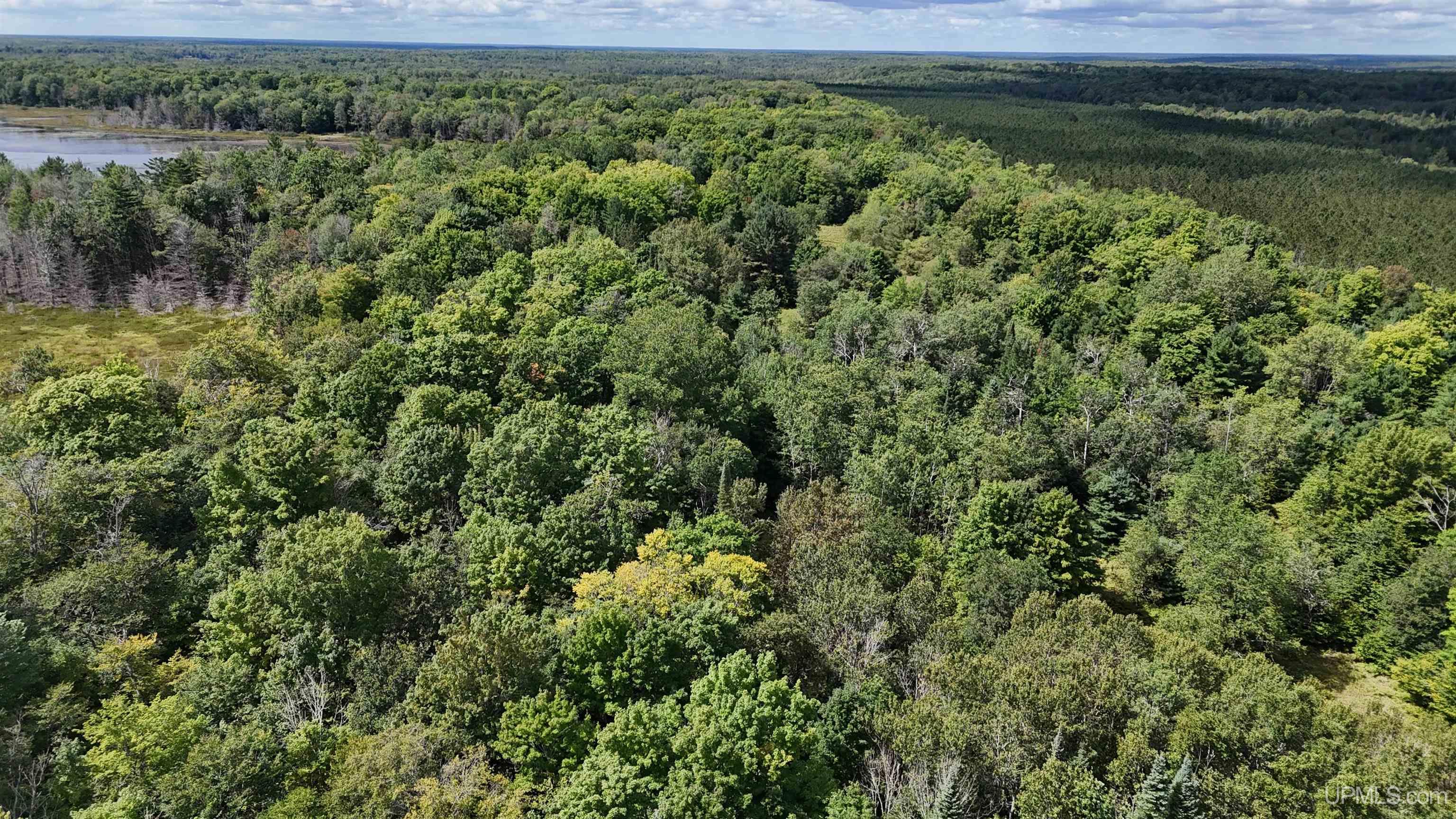 Lake Street Germfask, MI 49836 - Photo 31 of 36