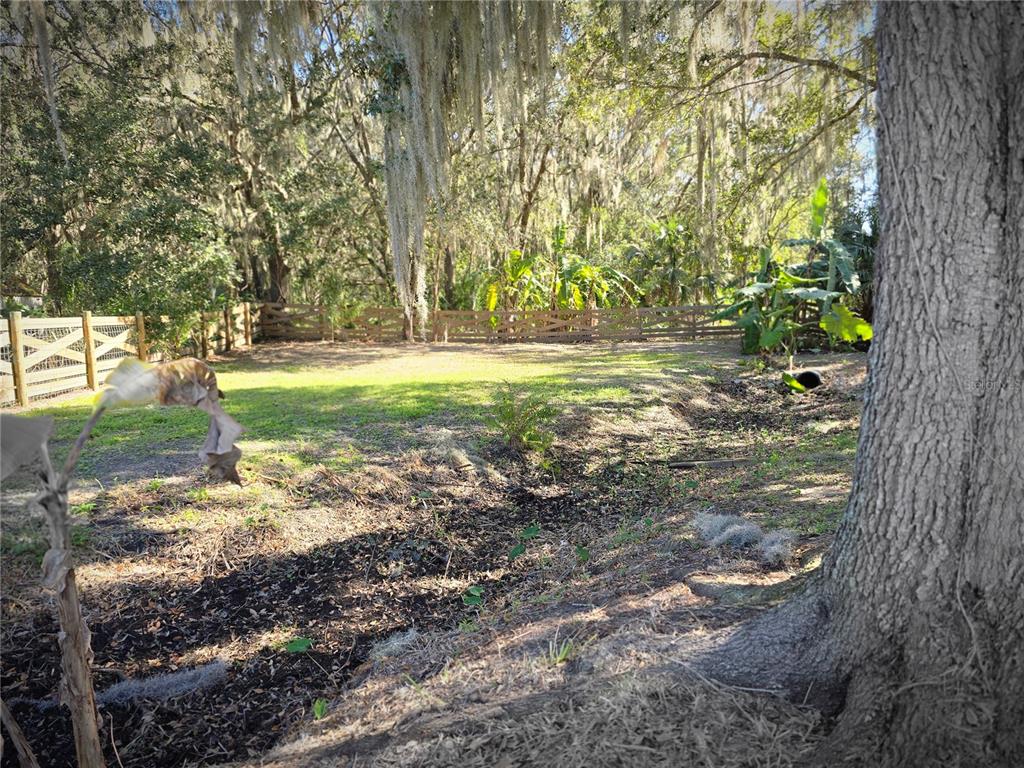 27410 Yalaha Cut Off Road Yalaha, FL 34797 - Photo 20 of 22 a view of a yard with plants and trees