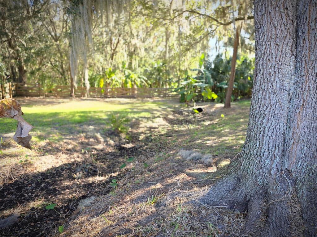 27410 Yalaha Cut Off Road Yalaha, FL 34797 - Photo 21 of 22 a view of swimming pool with a yard