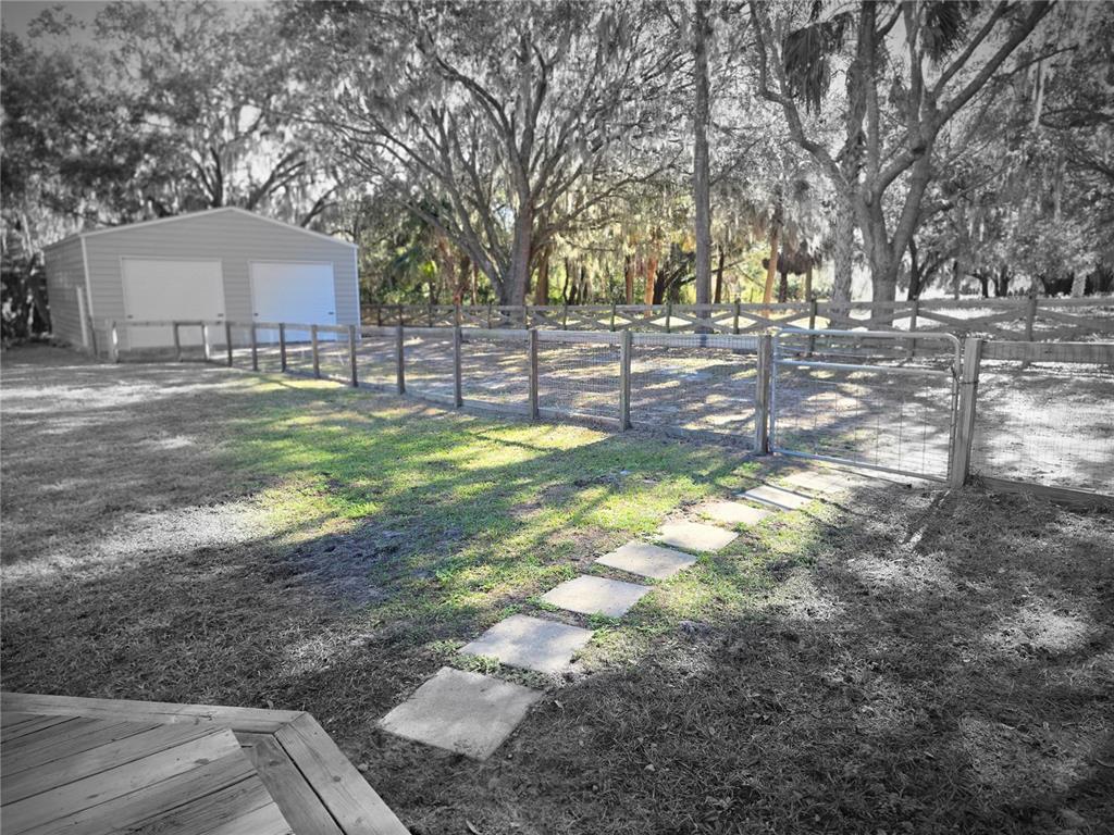 27410 Yalaha Cut Off Road Yalaha, FL 34797 - Photo 5 of 22 a view of yard with tree in the background