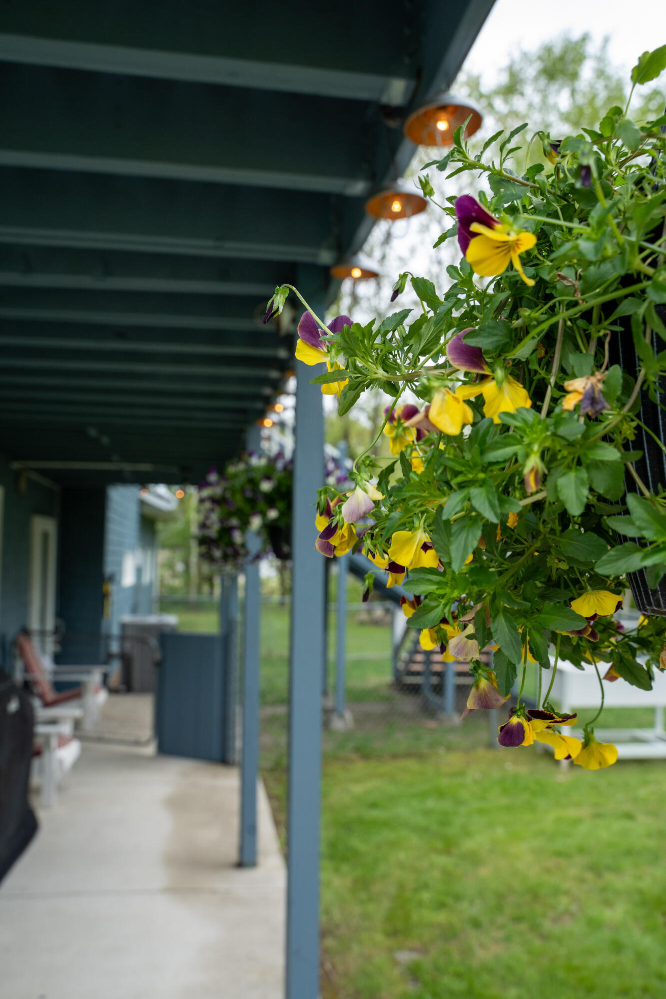 50 Water Street Howland, ME 04448 - Photo 12 of 50 DSC08785