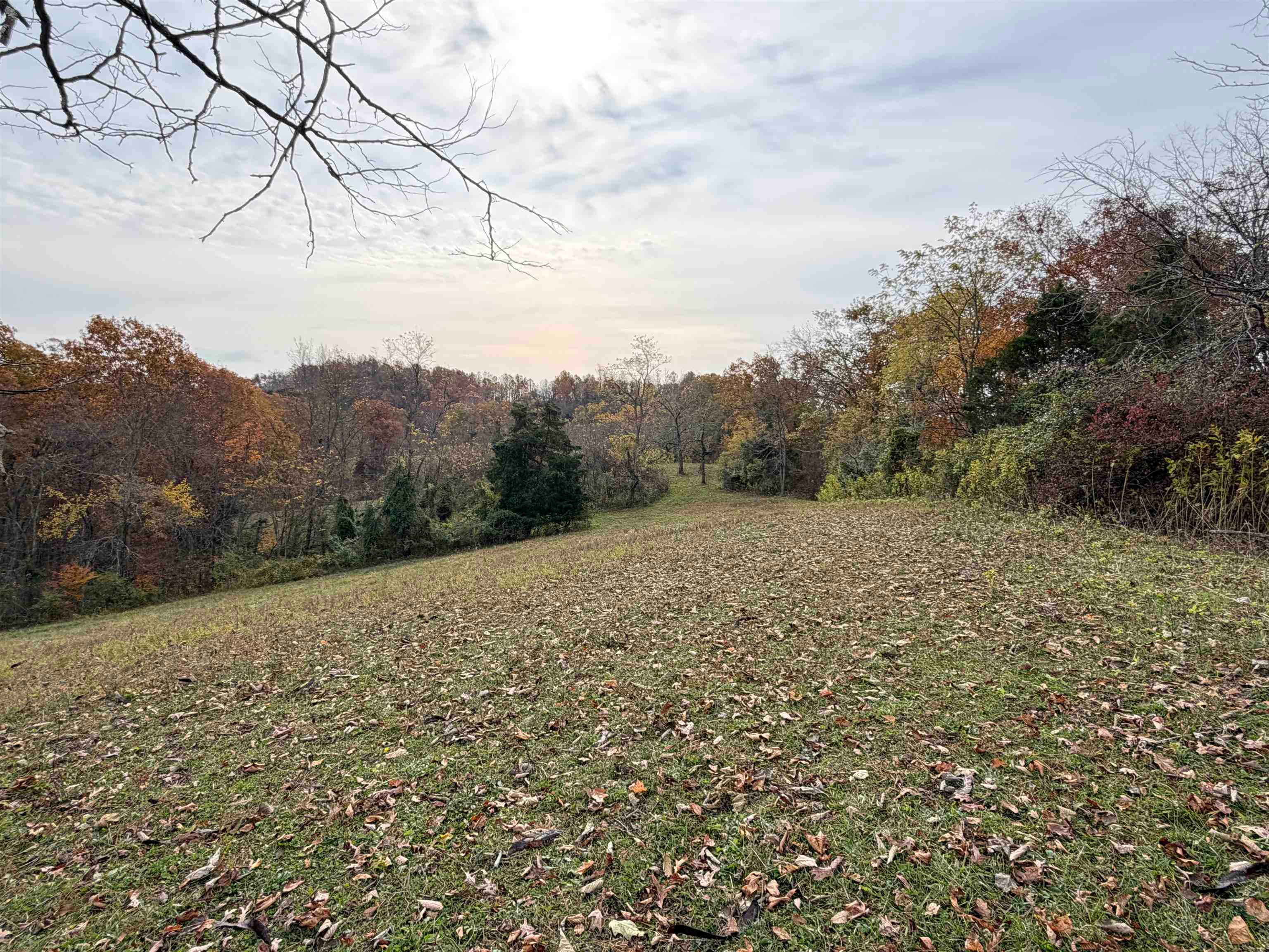 23765 Charleston Road Leon, WV 25123 - Photo 14 of 32 Gallery Image 14
