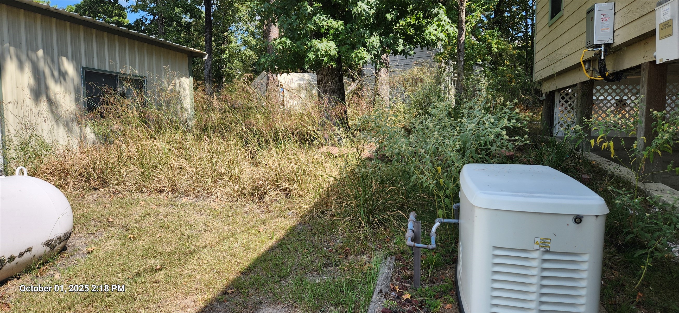 121 North Point Drive North Trinity, TX 75862 - Photo 14 of 37 a view of a backyard