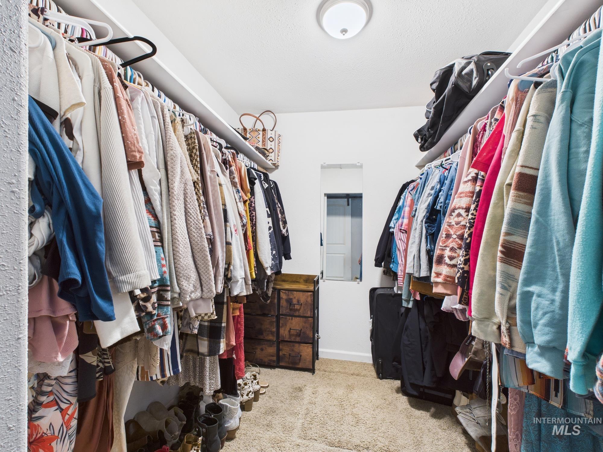 1428 Bryden Avenue Lewiston, ID 83501 - Photo 29 of 32 Walk in closet with carpet flooring