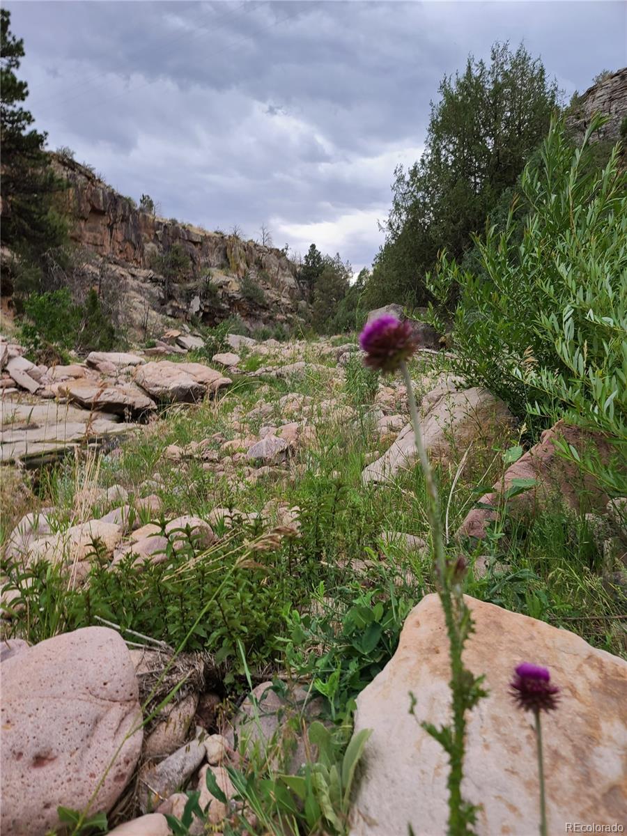 Lot 36 Hart Ranch Drive Beulah, CO 81023 - Photo 24 of 30
