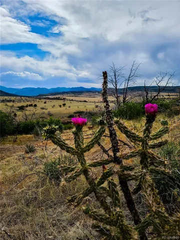 $49,000 | Lot 36 Hart Ranch Drive, Beulah, CO 81023