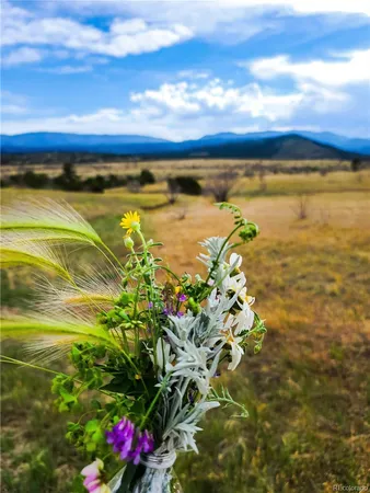 $49,000 | Lot 36 Hart Ranch Drive, Beulah, CO 81023