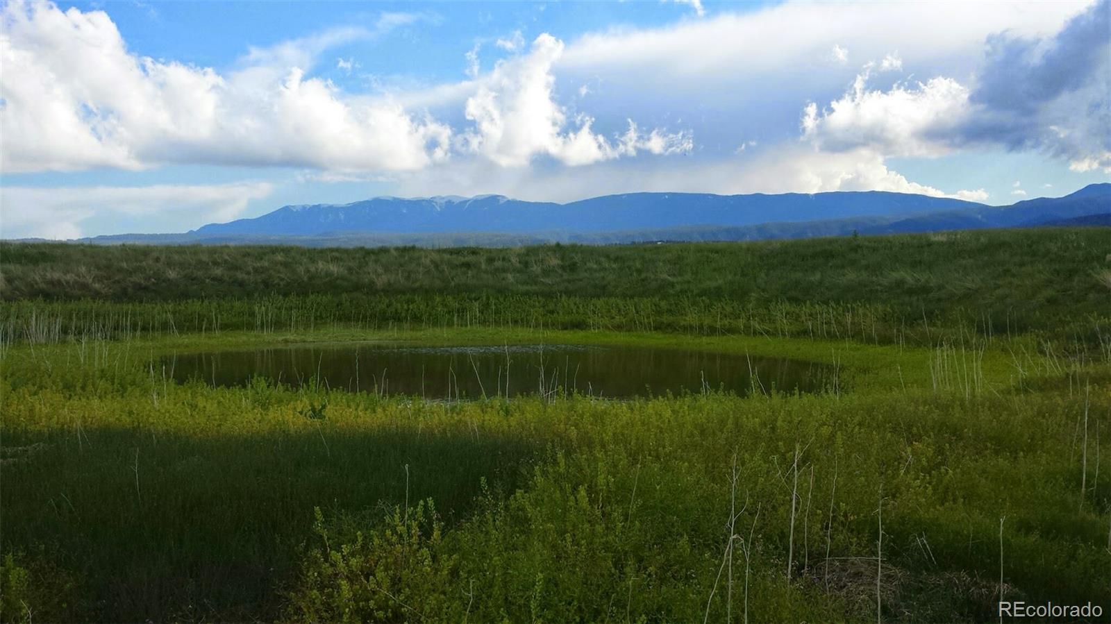 Lot 36 Hart Ranch Drive Beulah, CO 81023 - Photo 3 of 30