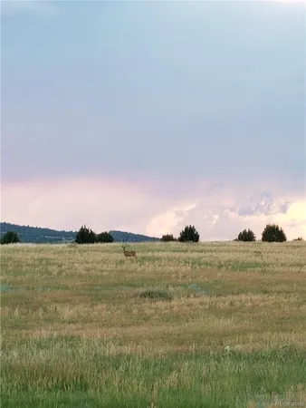 $49,000 | Lot 36 Hart Ranch Drive, Beulah, CO 81023