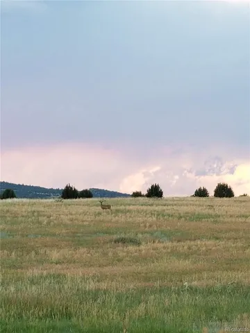 $49,000 | Lot 36 Hart Ranch Drive, Beulah, CO 81023