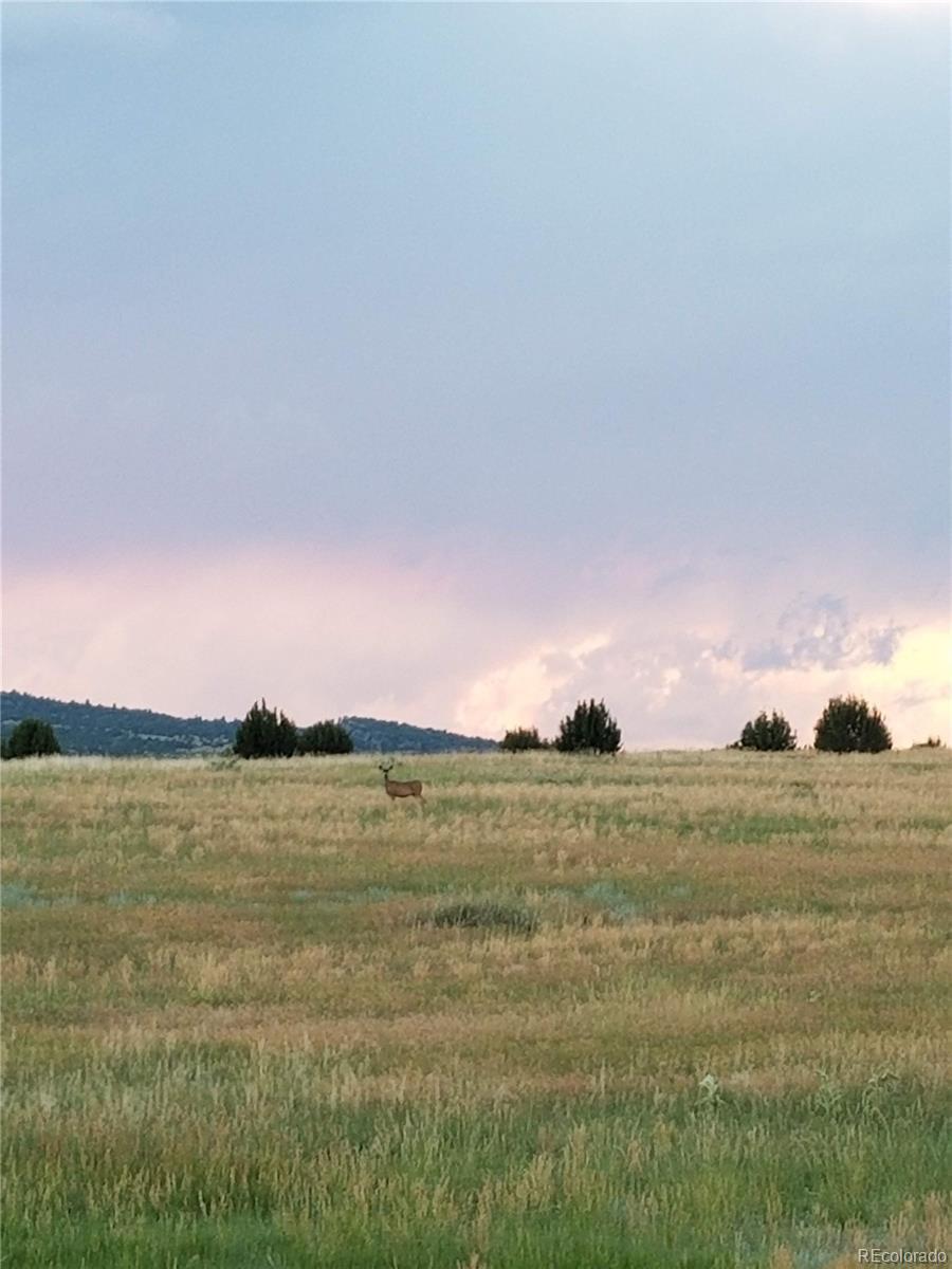 Lot 36 Hart Ranch Drive Beulah, CO 81023 - Photo 9 of 30