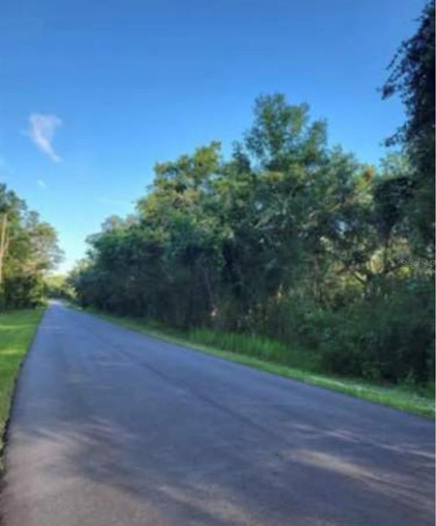 a view of a yard with a plant