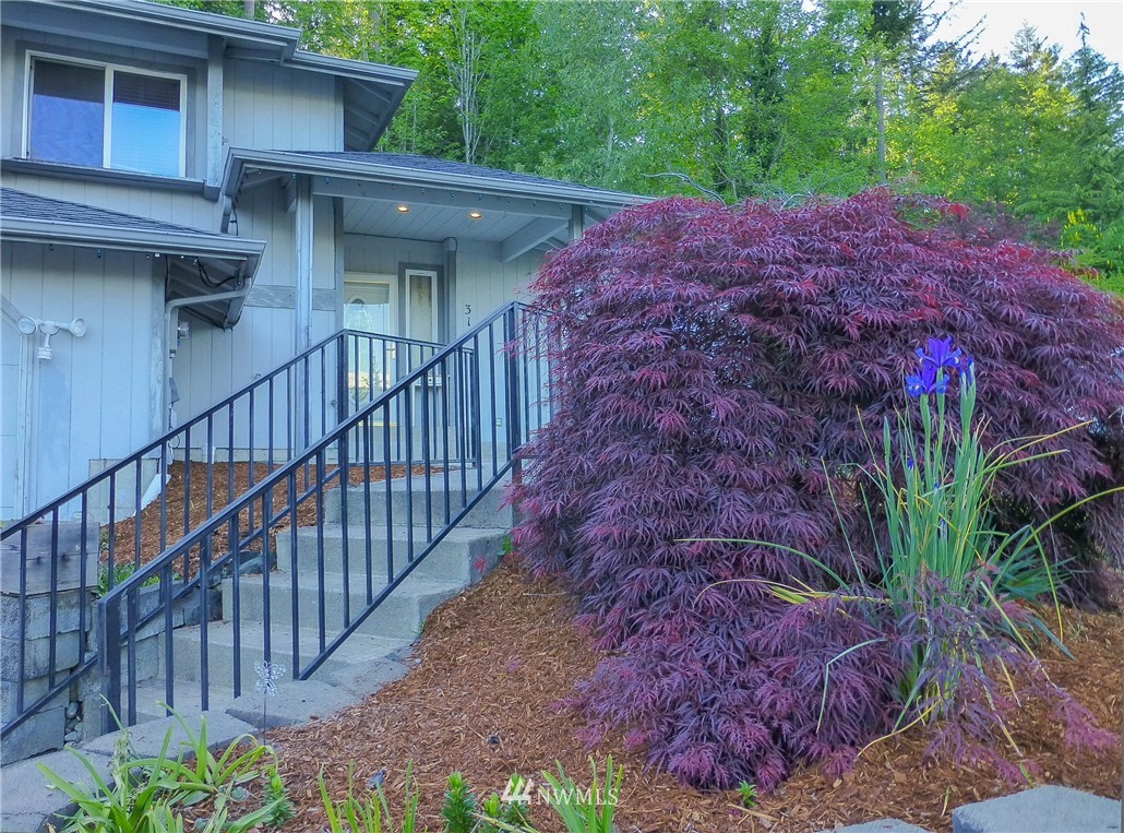 316 Antonie Avenue North Eatonville, WA 98328 - Photo 3 of 25