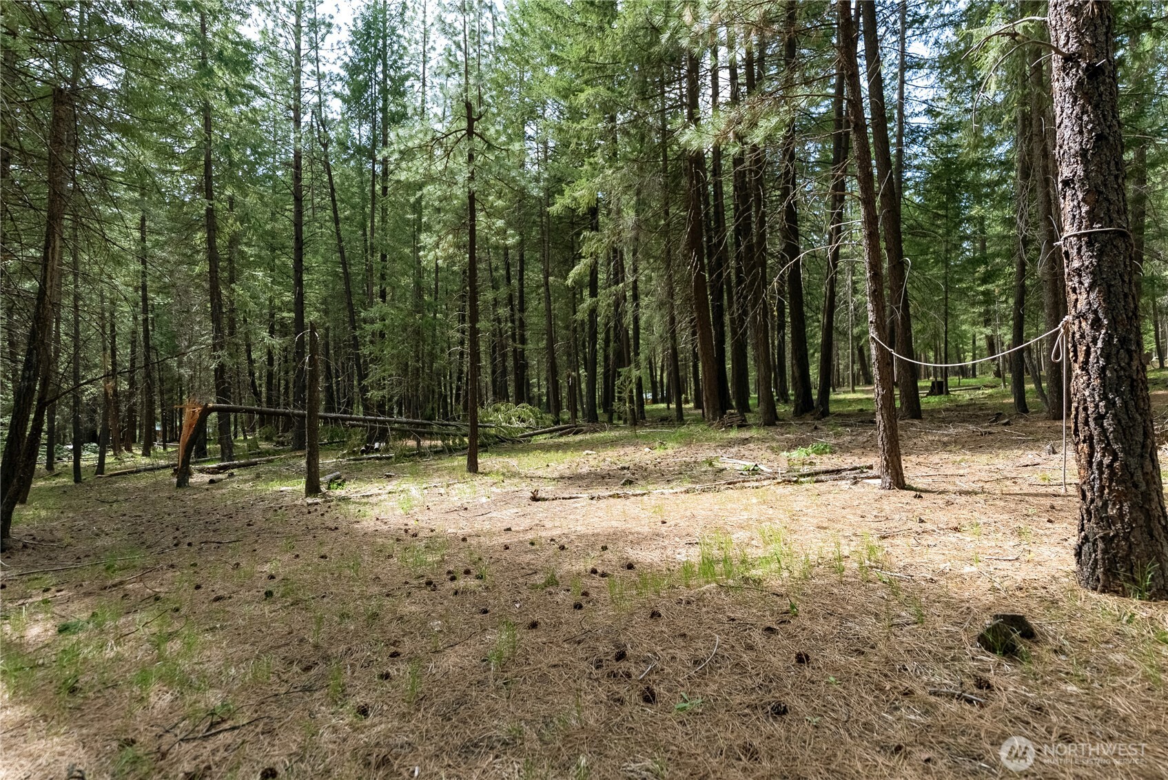 578 Lost River Road Mazama, WA 98833 - Photo 12 of 21