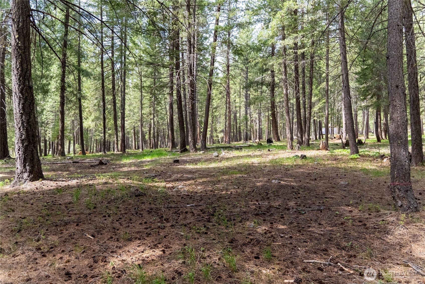 578 Lost River Road Mazama, WA 98833 - Photo 14 of 21