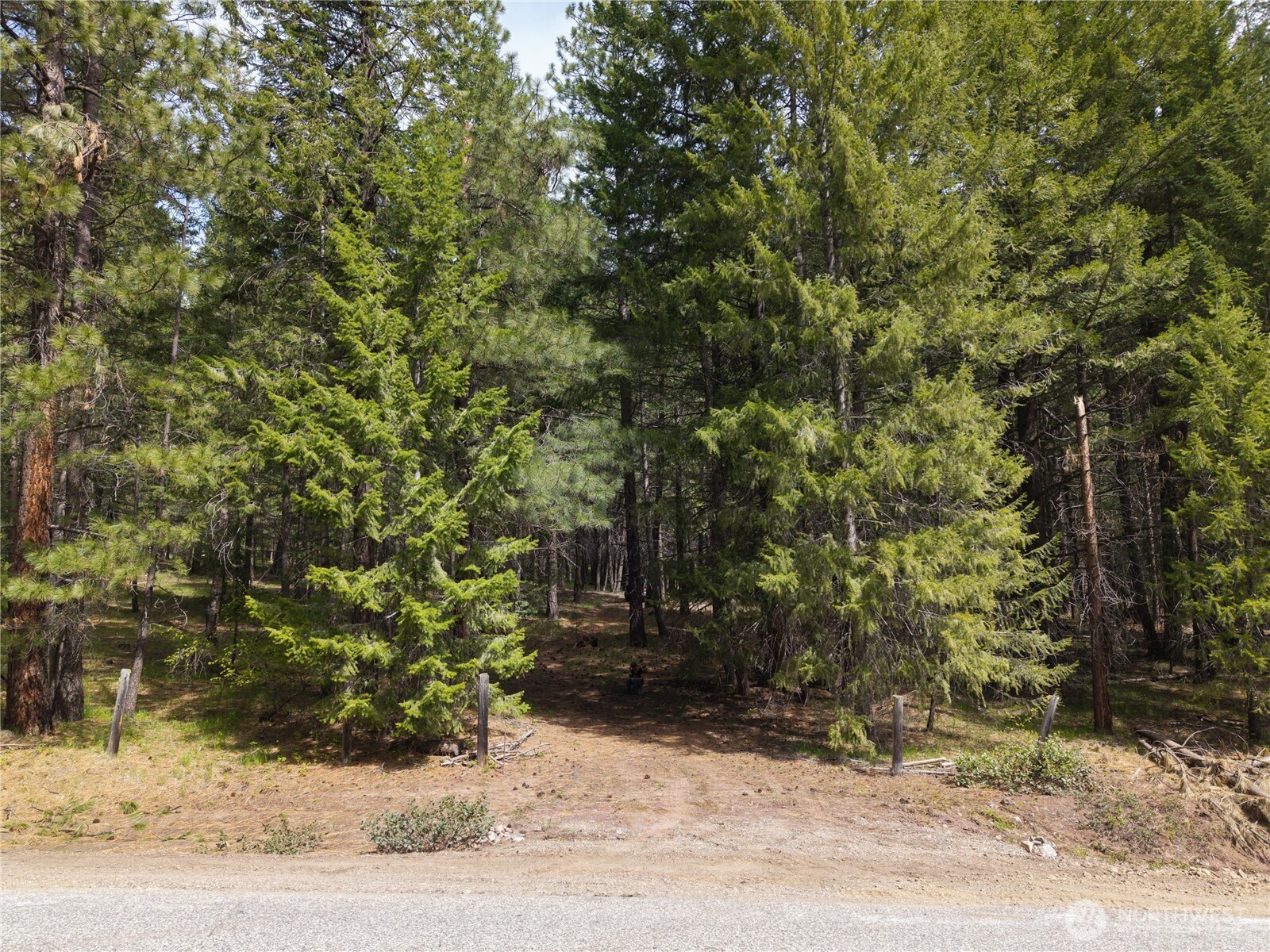 578 Lost River Road Mazama, WA 98833 - Photo 2 of 21