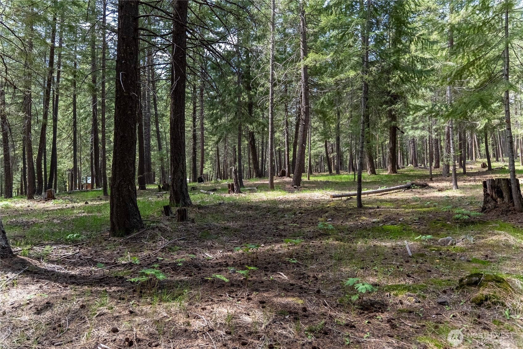578 Lost River Road Mazama, WA 98833 - Photo 6 of 21