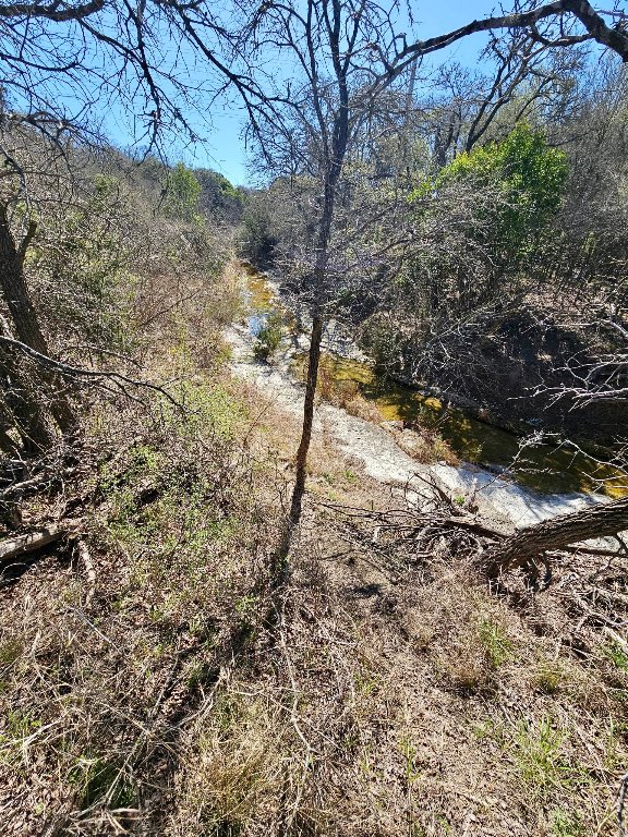 0 Bradshaw Road Austin, TX 78747 - Photo 4 of 12 View of local wilderness featuring a view of trees